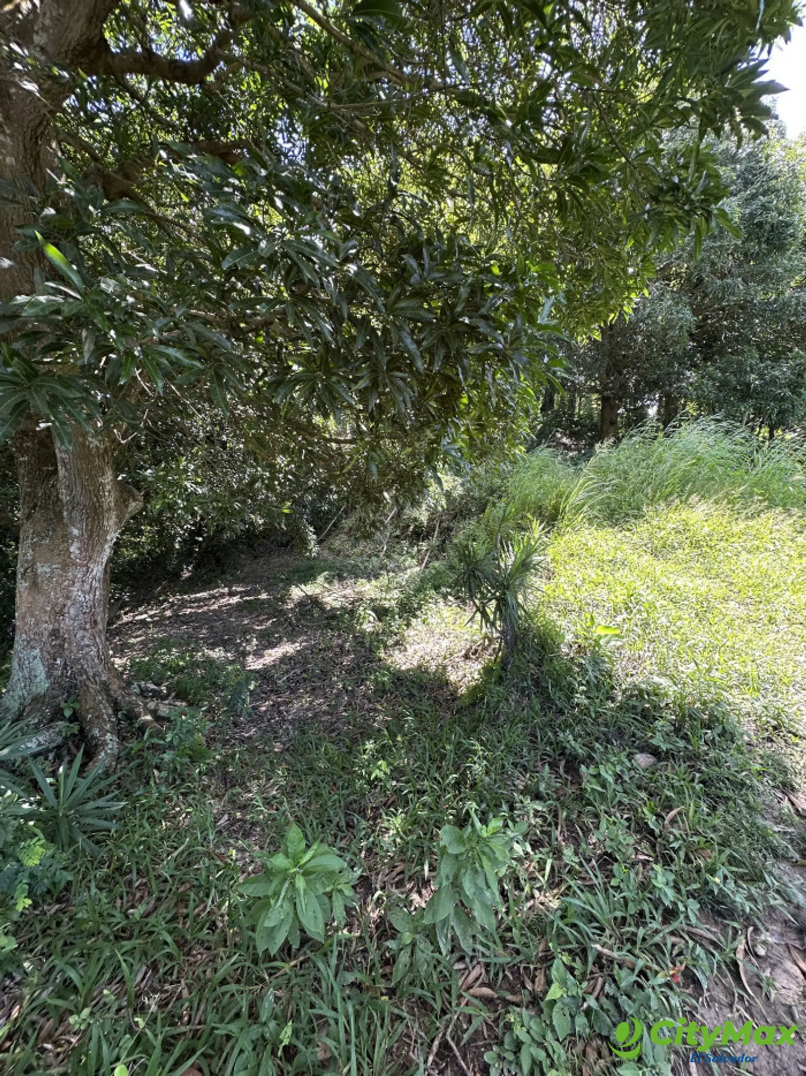 Terreno en venta en Olocuilta carretera a Comalapa - foto 3