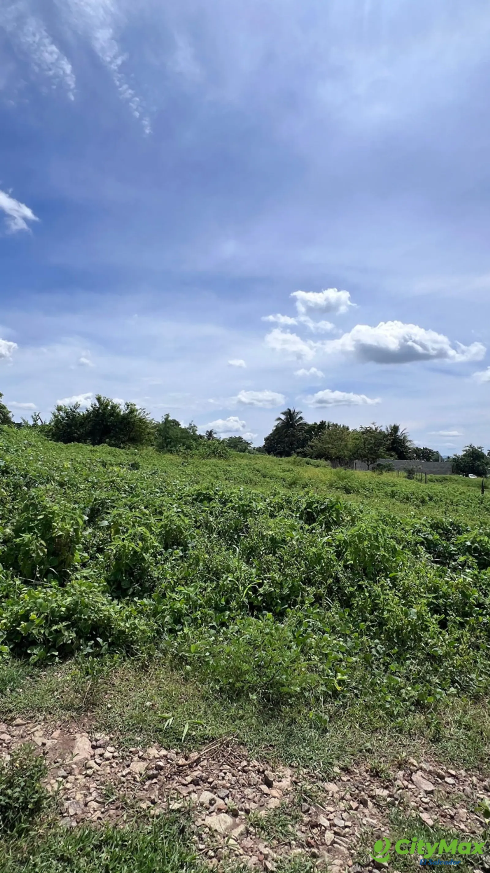 Derecho en venta de lote en Altos de Las Mercedes - foto 7