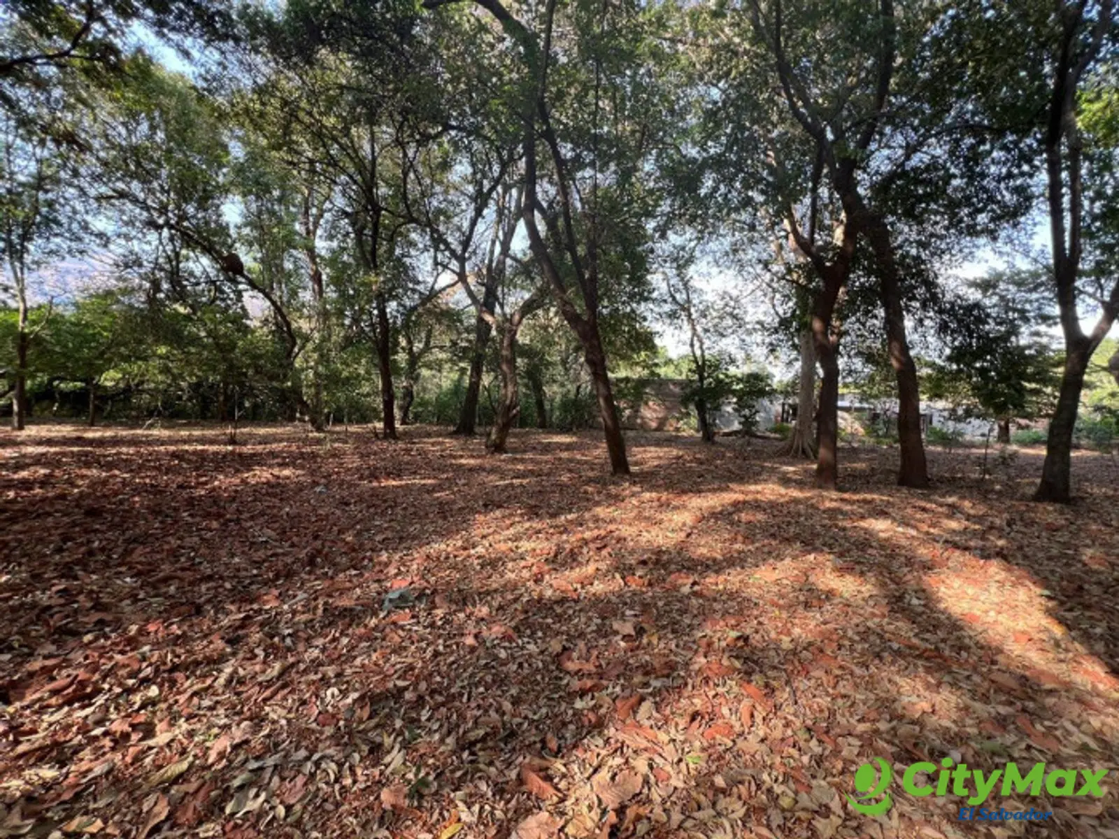 Terreno comercial en venta por INDES Santa Ana - foto 5