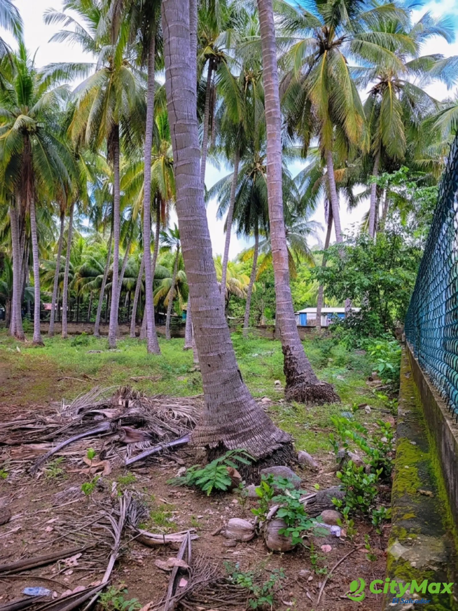 Terreno en venta frente al mar en Playa La Ventana - foto 6