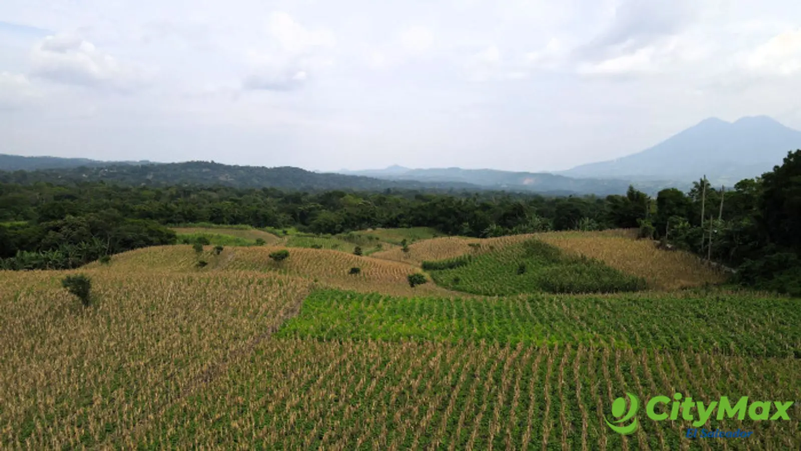 Finca en Venta en Candelaria Ideal para Desarrollo - foto 3