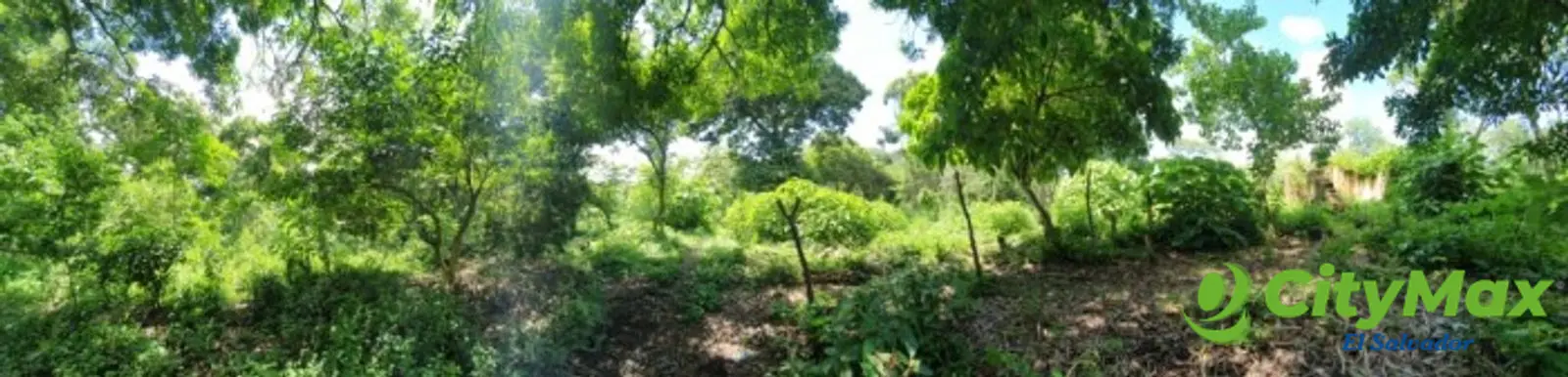 Vive a menos de 1km del Parque Arqueológico Tazumal  - foto 6