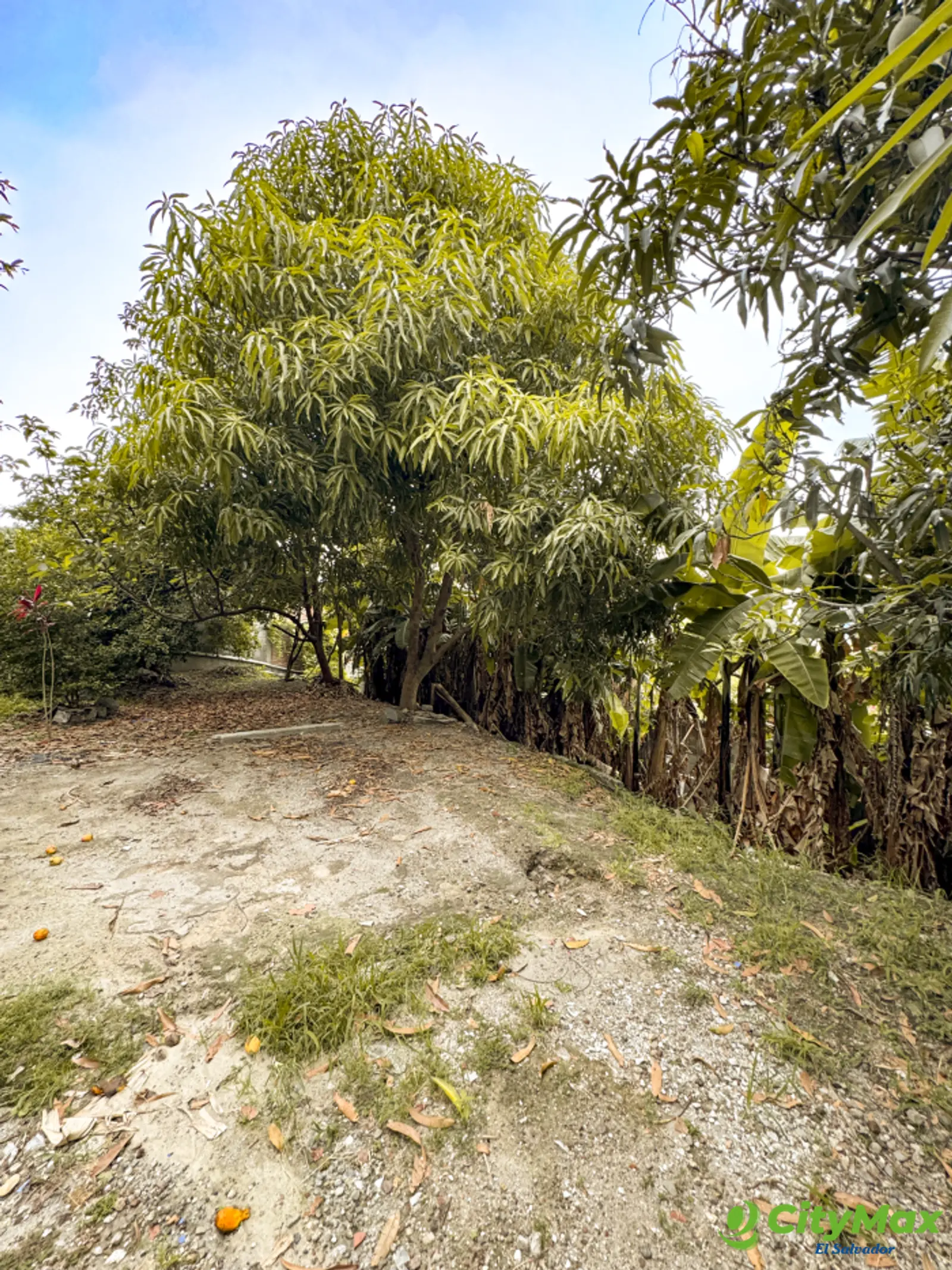 Terreno en venta en Apulo Ilopango a 3 minutos del lago - foto 4