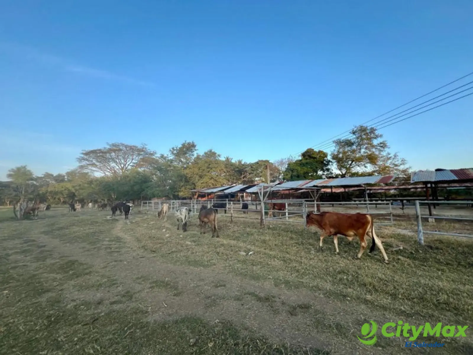 31 Manzanas en venta en El Porvenir Santa Ana - foto 3
