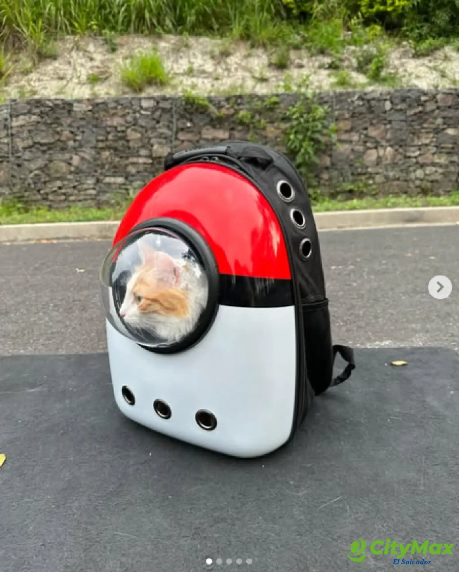 Vendo negocio de productos para mascota con inventario - foto 9