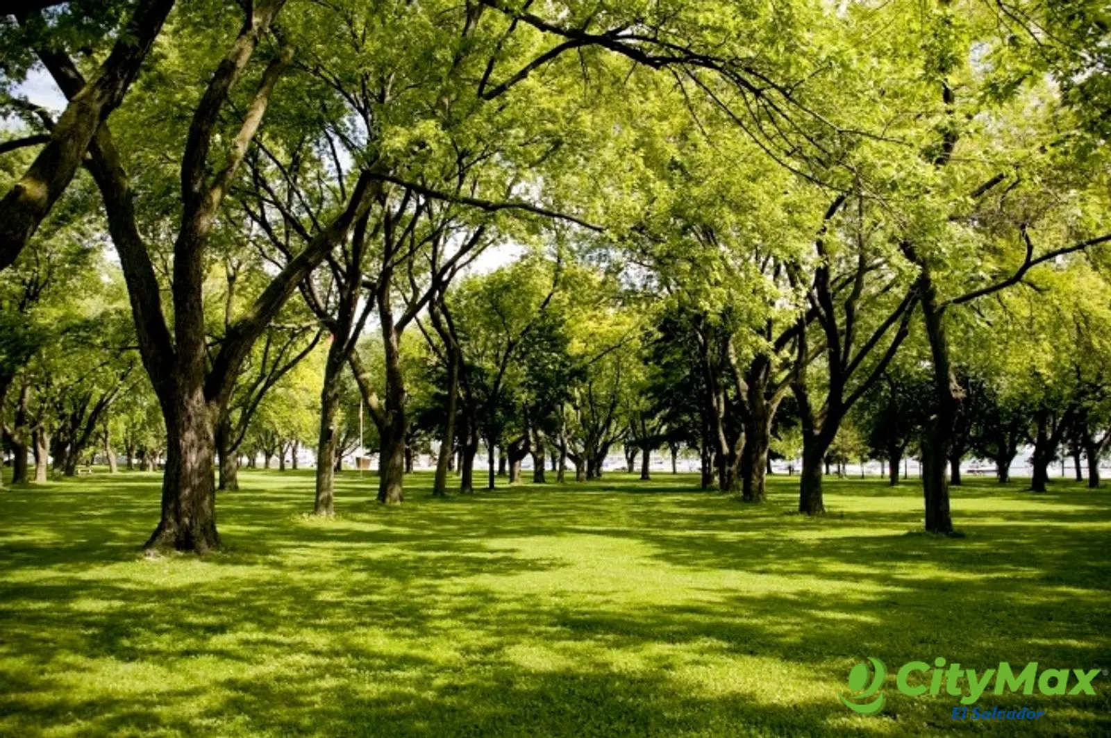 Atlántida espectacular proyecto en Punta Cana  - foto 7