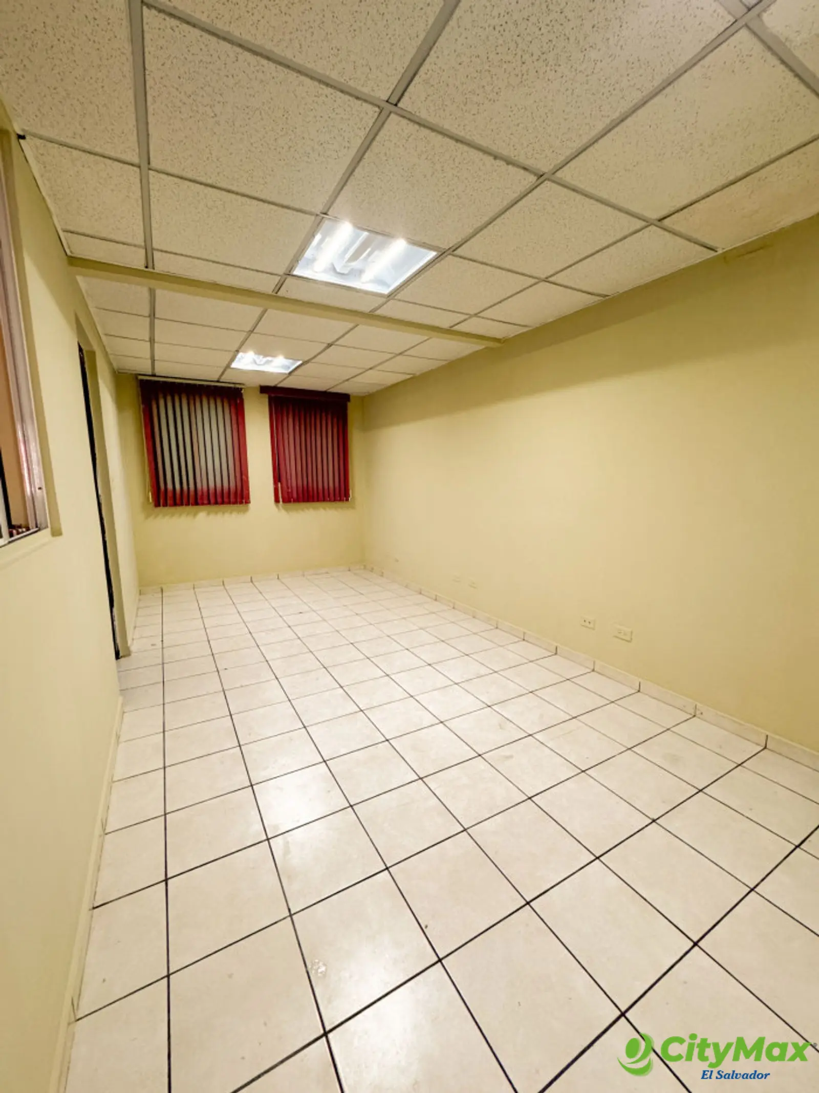 Edificio en Alquiler de 3 Niveles Colonia Flor Blanca  - foto 3