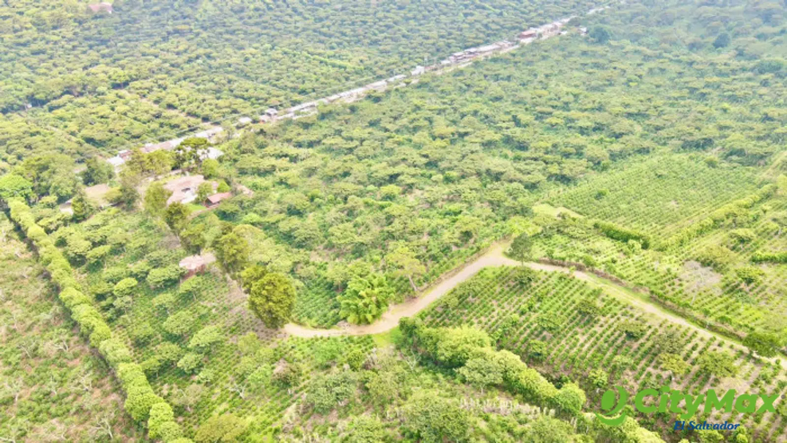 Finca cafetalera con potencial hotelero Los Naranjos - foto 2
