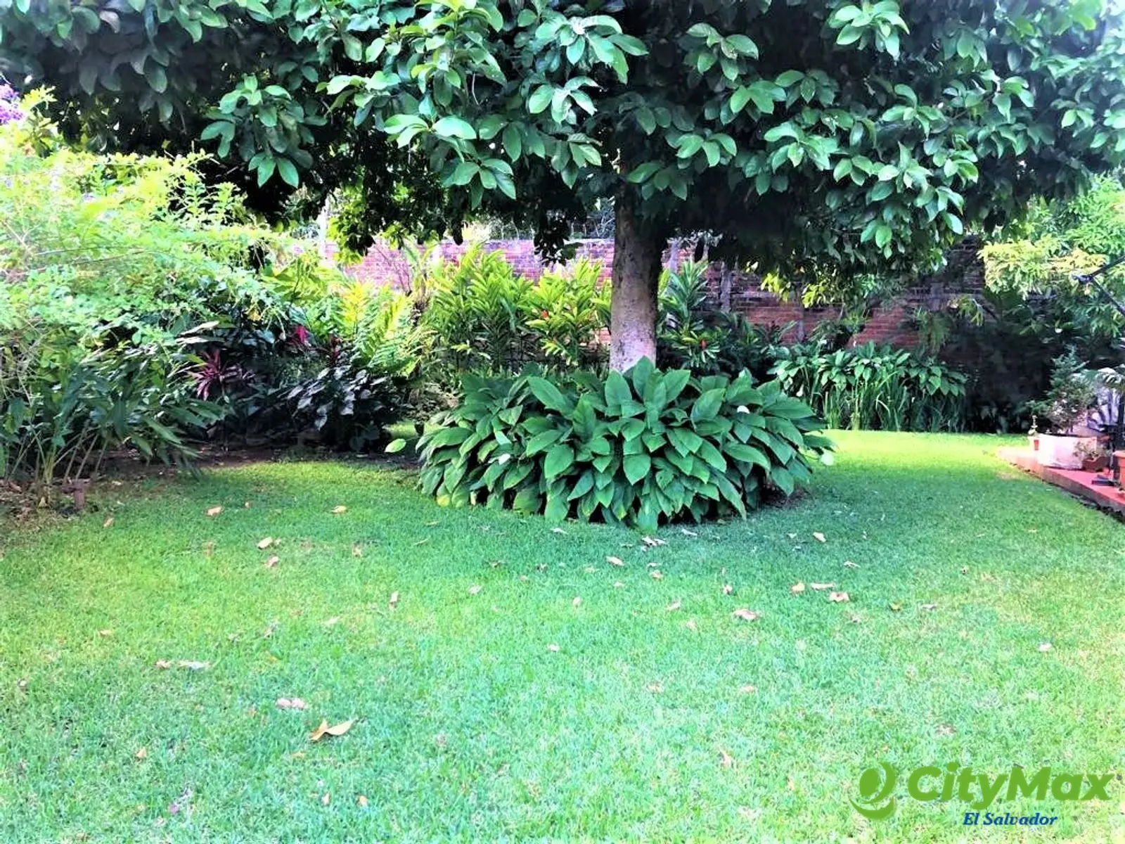 Vendo hermosa y amplia casa en Santa Ana - Jardín trasero