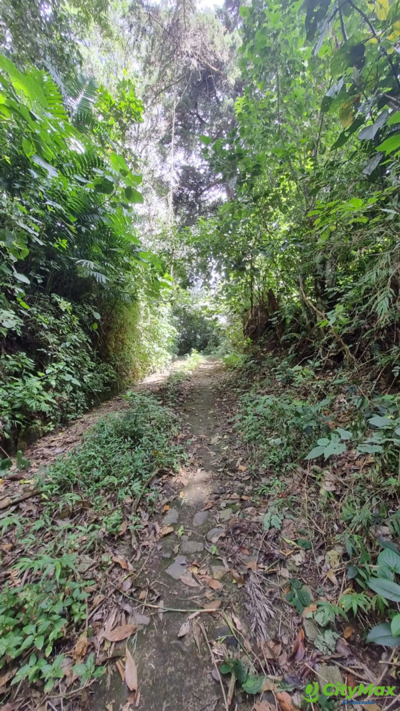 Vendo espectacular terreno en calle al Boquerón km 18  - foto 4