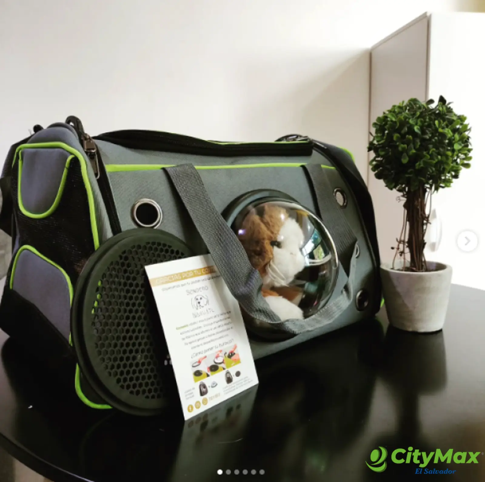 Vendo negocio de productos para mascota con inventario - foto 6