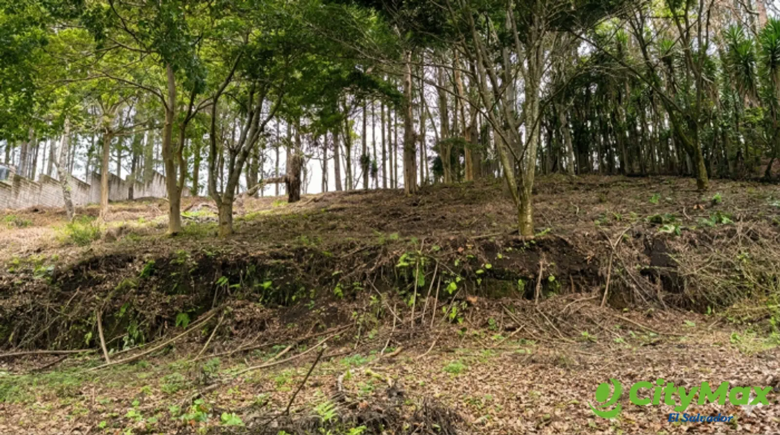 Terreno en venta para construir torres hasta 26 niveles - foto 4