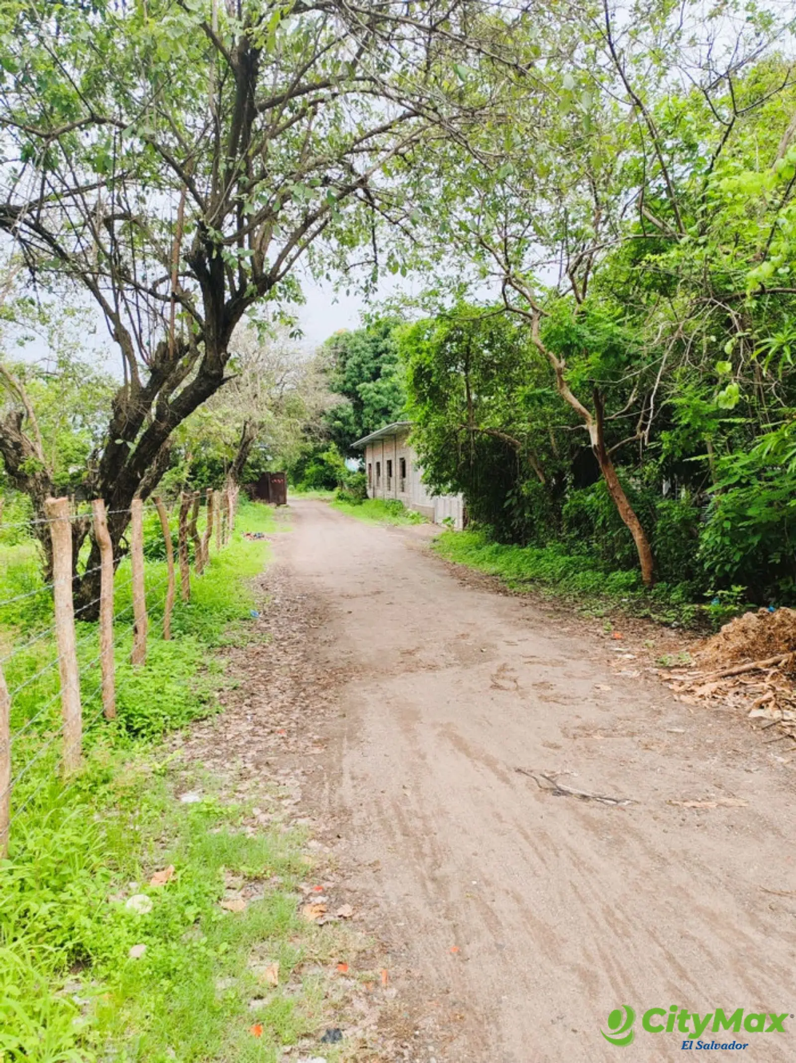 Venta de terrenos planos cerca Puente Río Lempa - foto 4