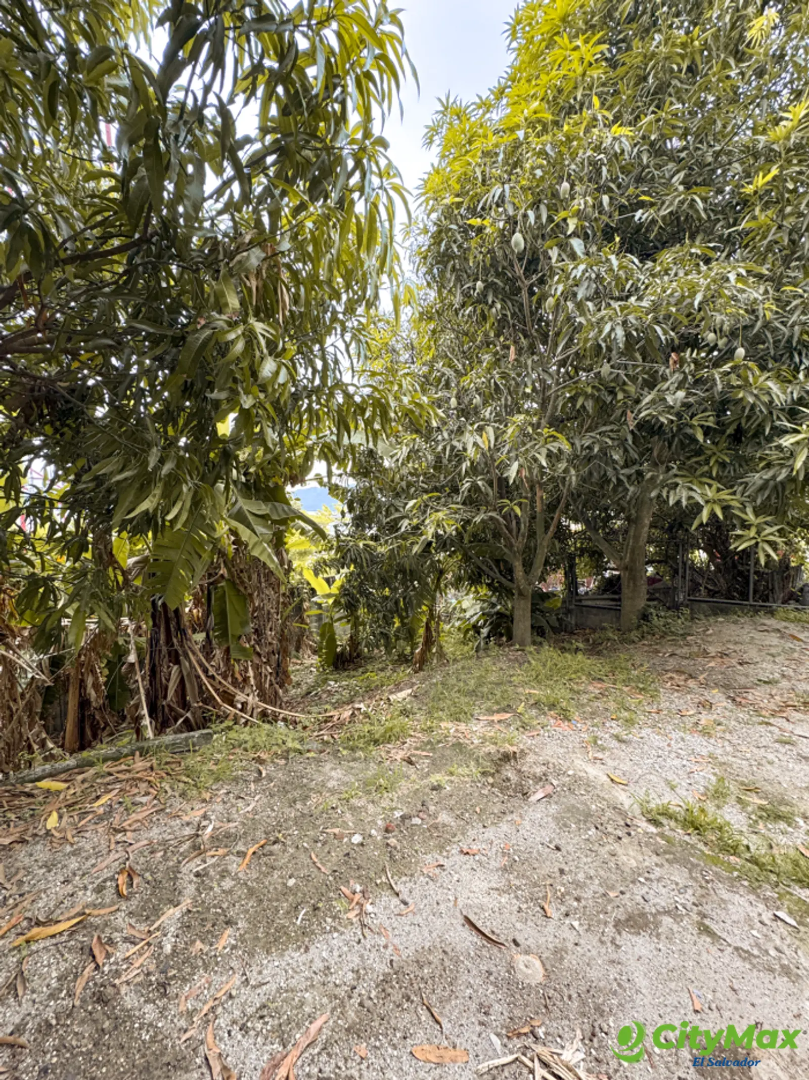 Terreno en venta en Apulo Ilopango a 3 minutos del lago - foto 9