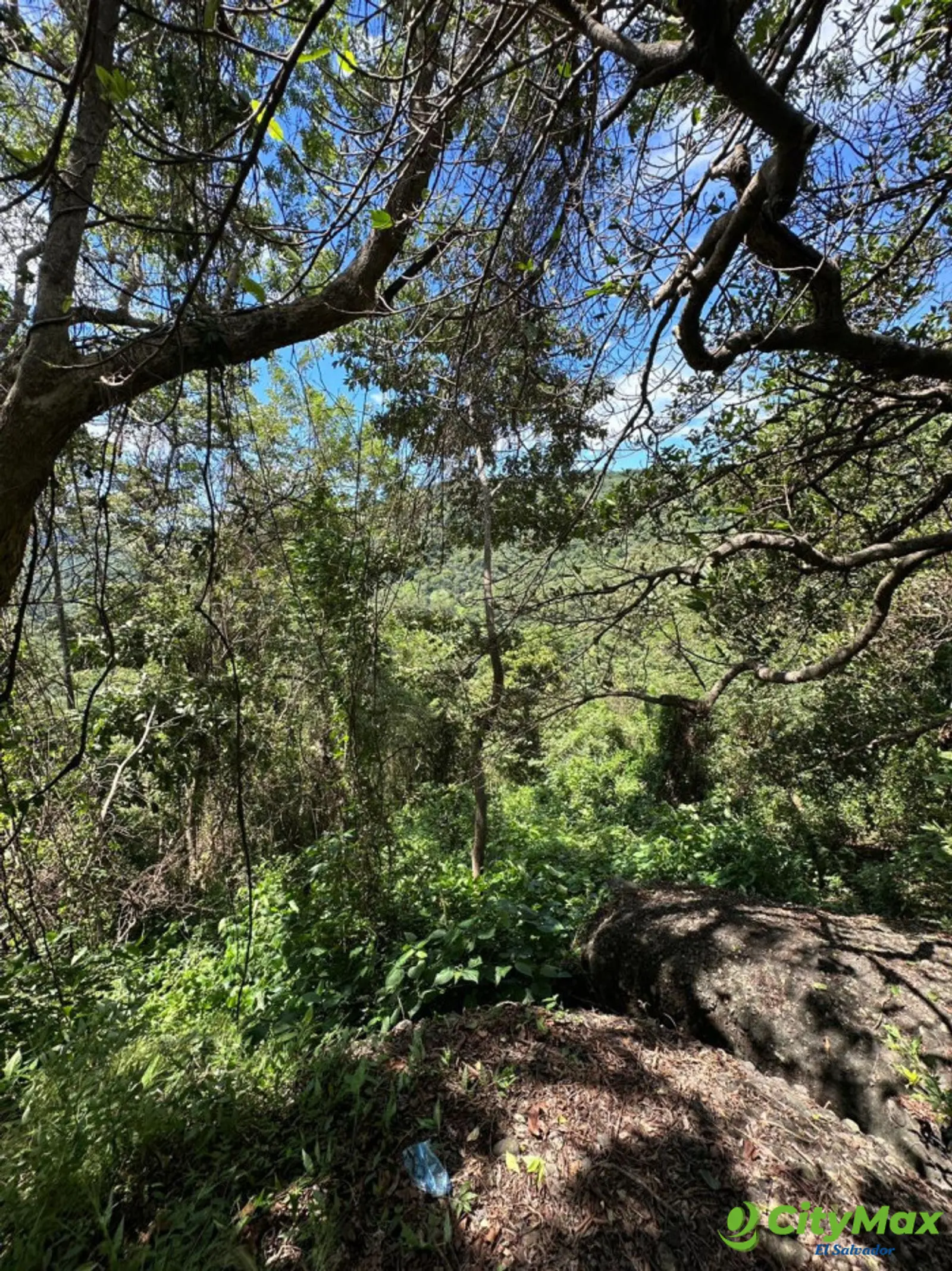 Terreno en venta en Olocuilta carretera a Comalapa - foto 5