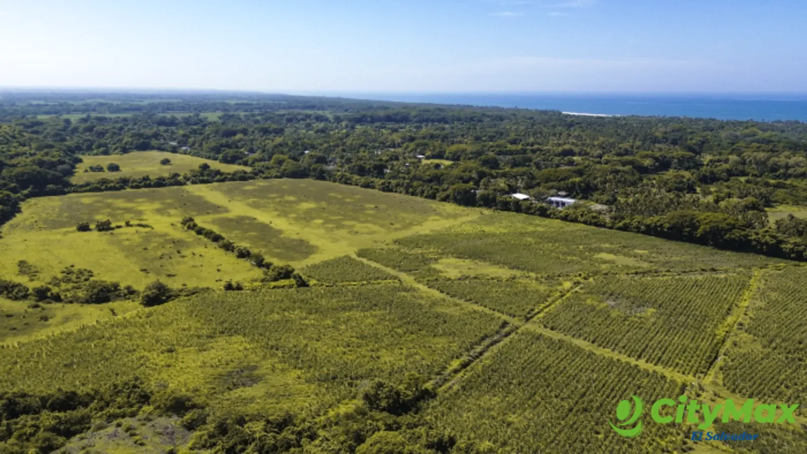 Terreno en venta para desarrollo La Libertad 39 manzana - foto 3