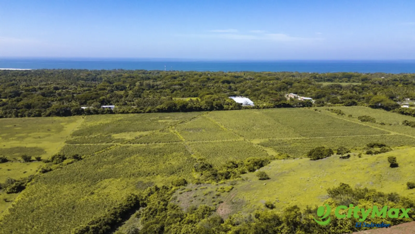 Terreno en venta para desarrollo La Libertad 39 manzana - foto 4