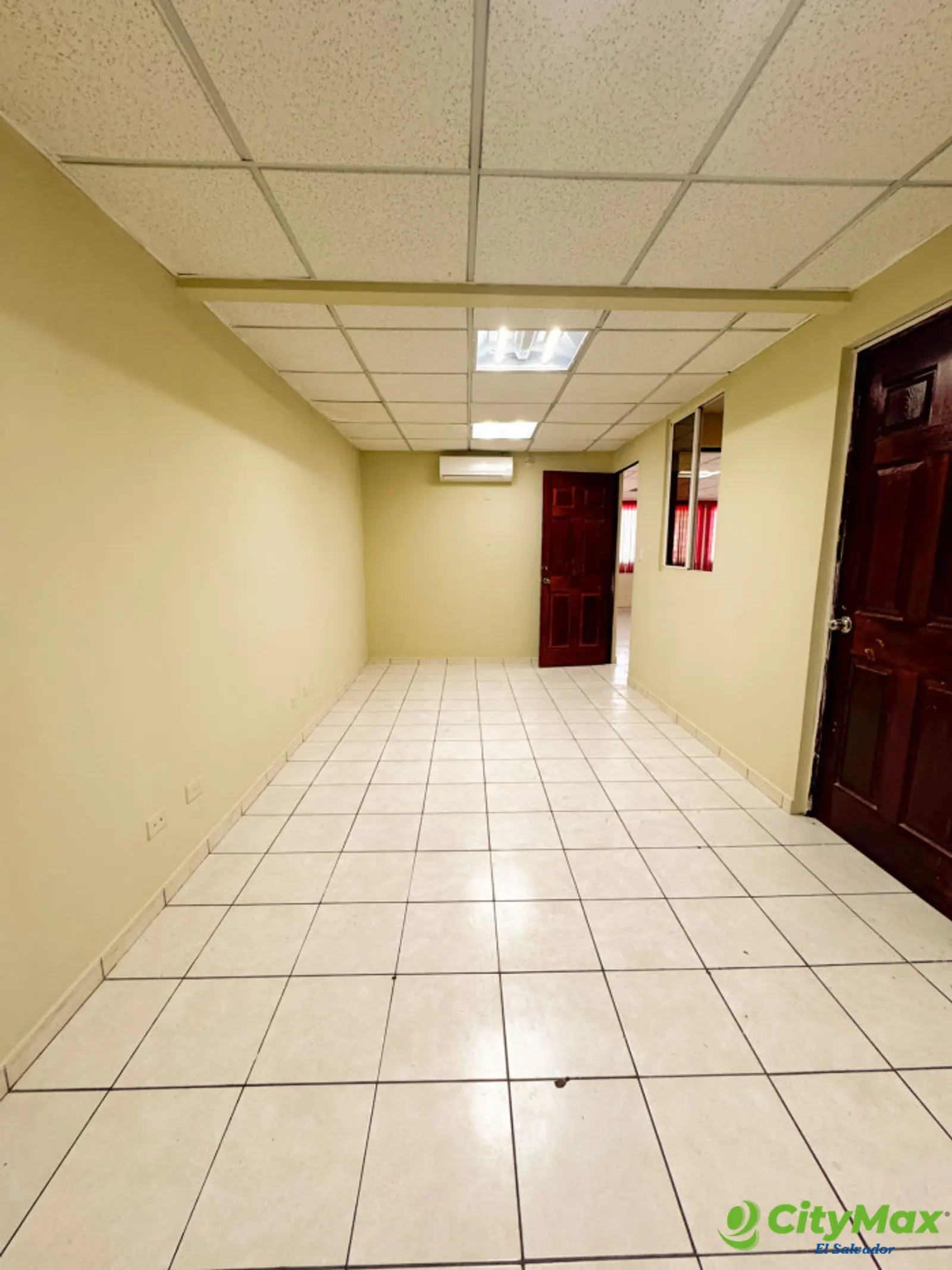 Edificio en Alquiler de 3 Niveles Colonia Flor Blanca  - foto 4