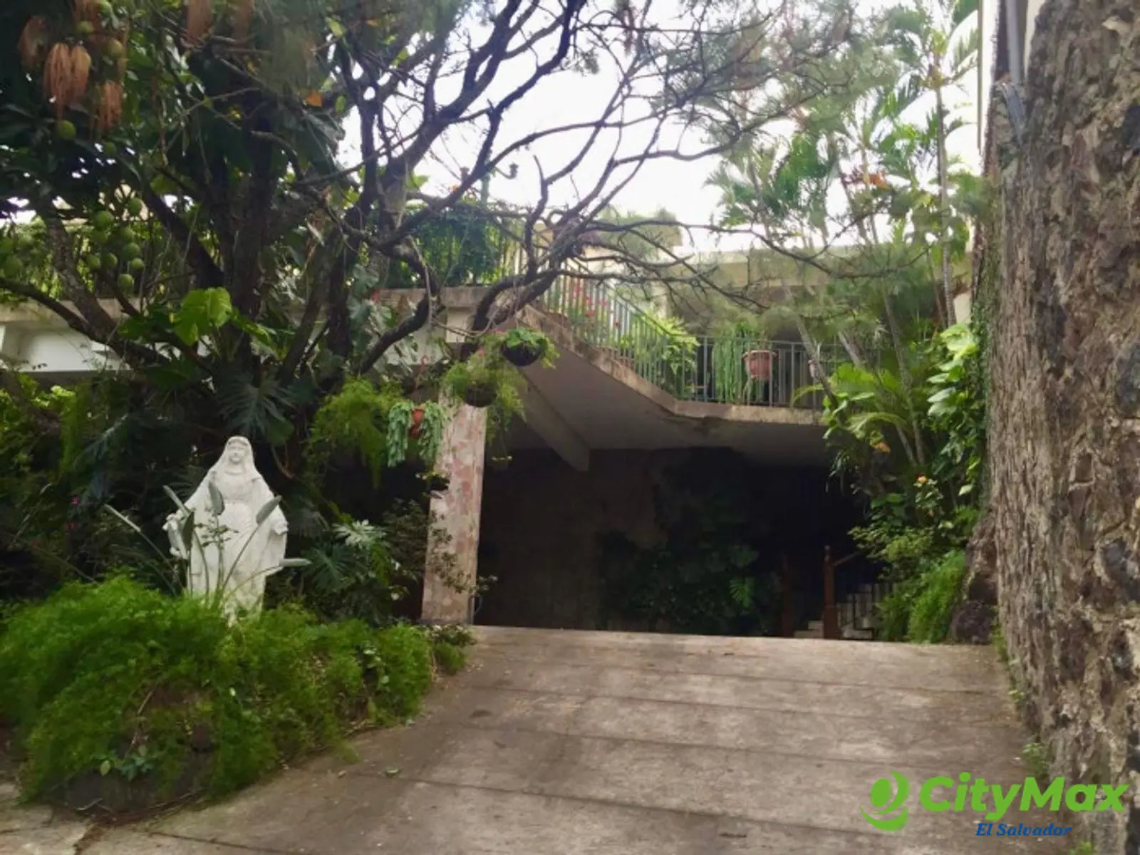 Amplia propiedad comercial en venta en Colonia Escalón - foto 3