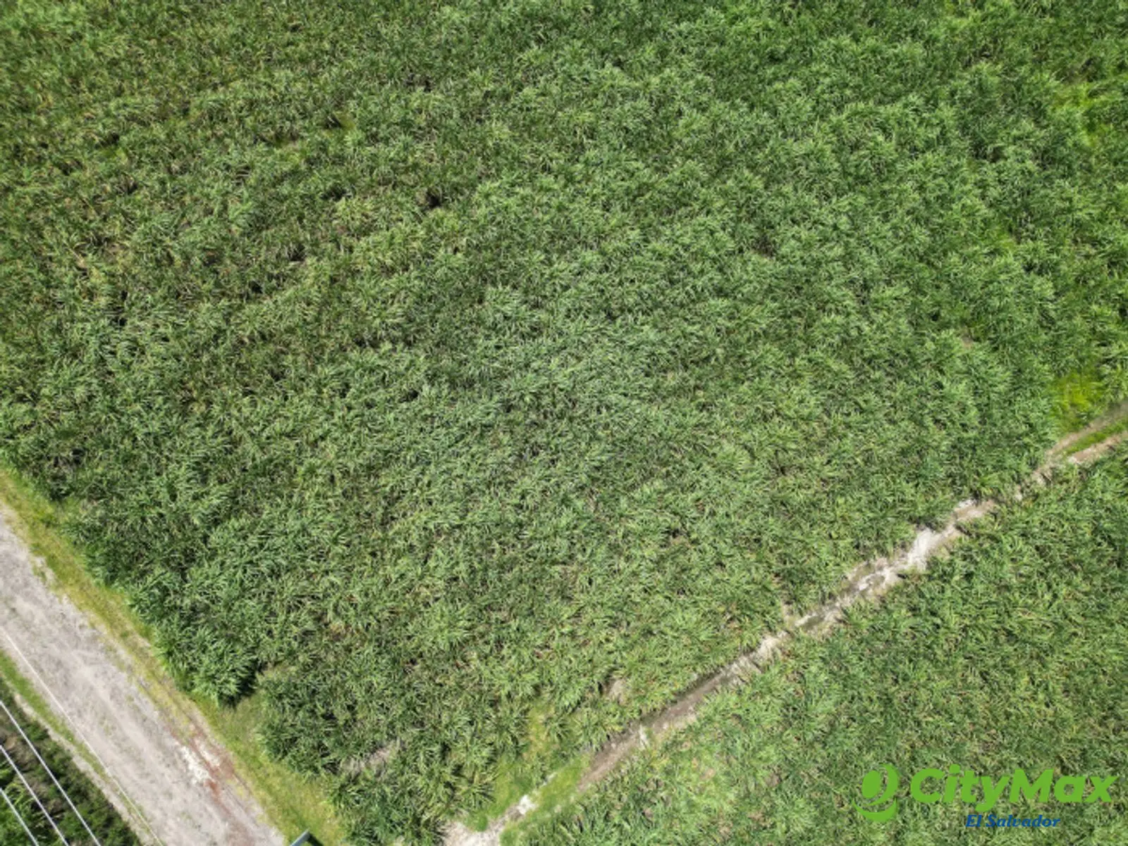 Terreno comercial de 1 manzana en Nejapa por Coca Cola - foto 4