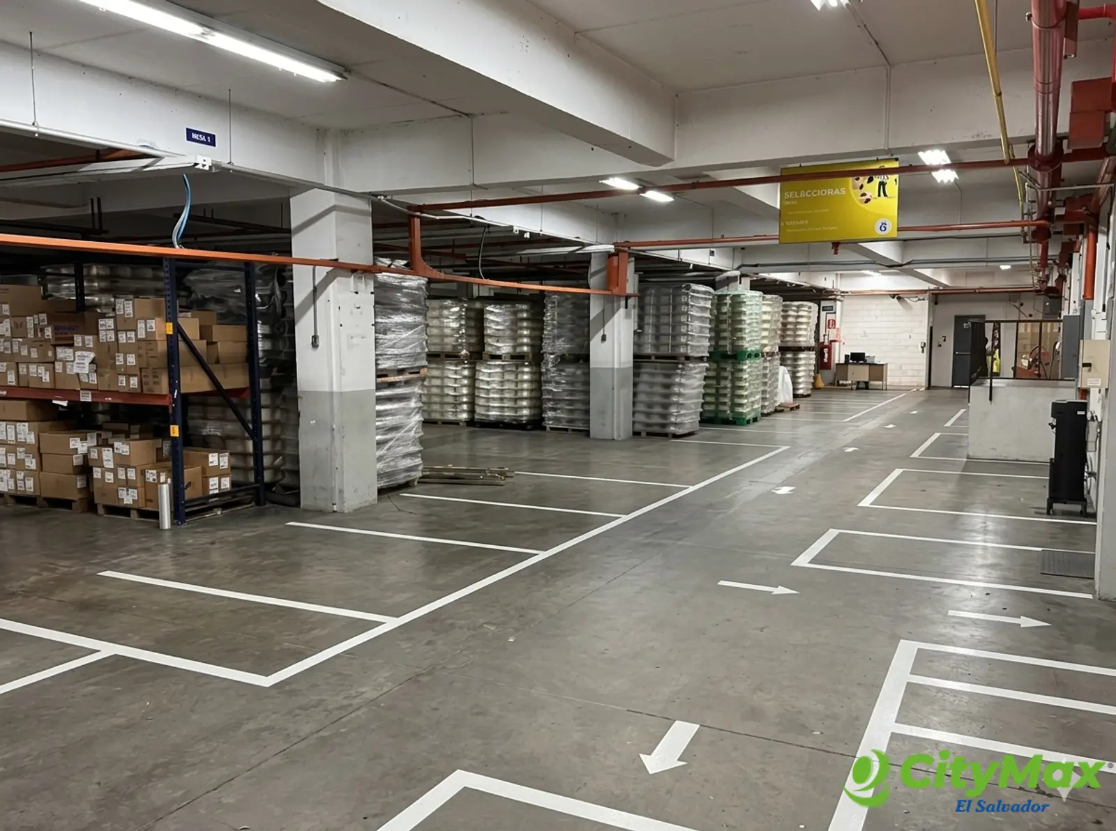 Bodega en Plan de la Laguna 8100 metros y 5 muelles - foto 2