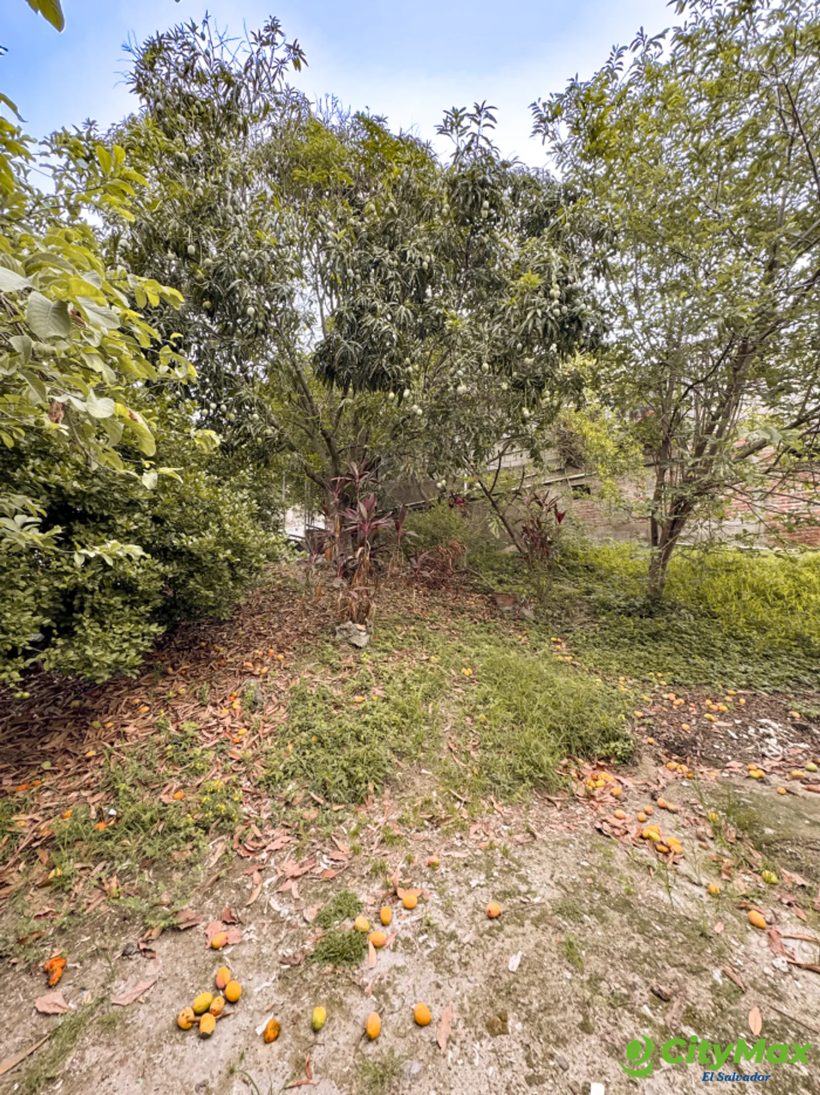 Terreno en venta en Apulo Ilopango a 3 minutos del lago - foto 7